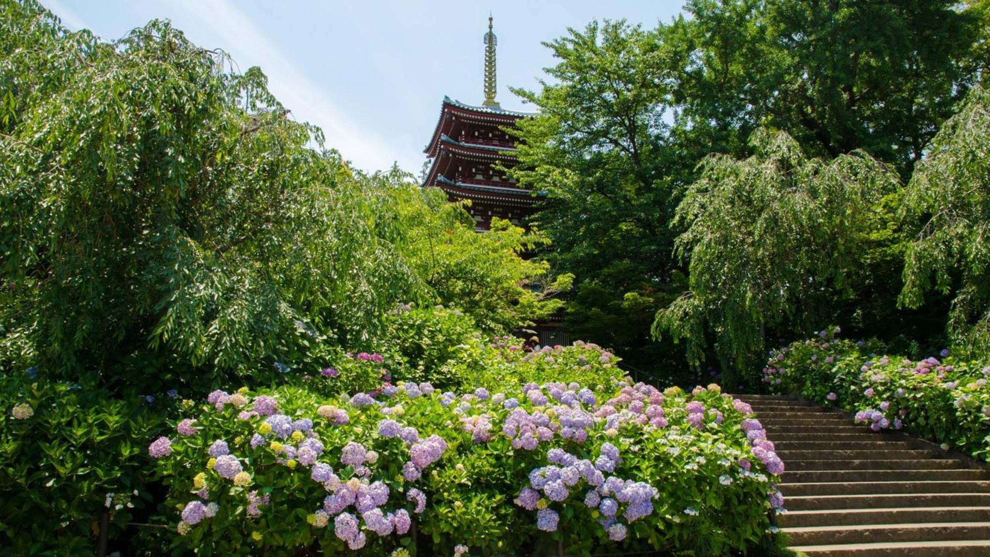 Toyoko Inn Matsudo Eki Higashi Guchi Exteriér fotografie